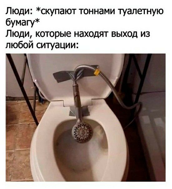 Люди скупают тоннами туалетную бумагу Люди которые находят выход из любой ситуации