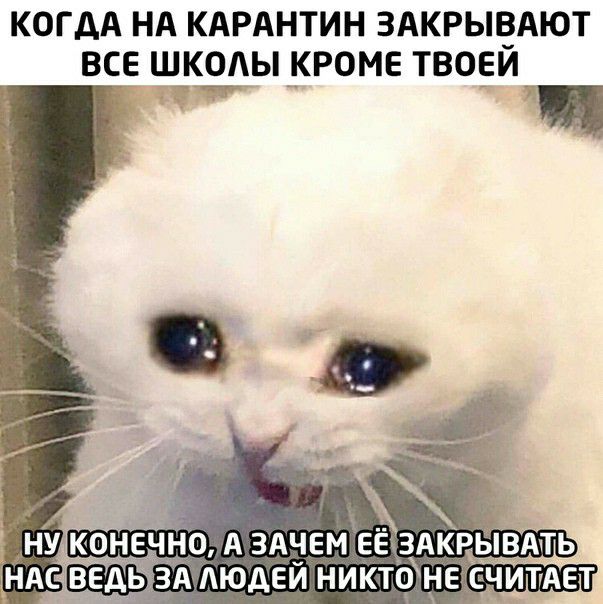 КОГ АА НА КАРАНТИН ЗАКРЫЁАЮТ ВСЕ Ш_К2Ы __Р0МЕ ТВО_ЕИ о А здавмёёвдкрБпвмь людеи никтфнесчитщет