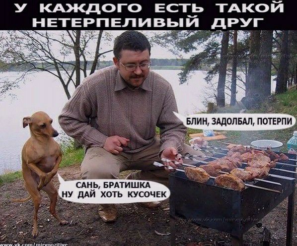 У КАЖДОГО ЕСТЬ ТАКОЙ НЕТЕРПЕЛИВЬй дРУГ