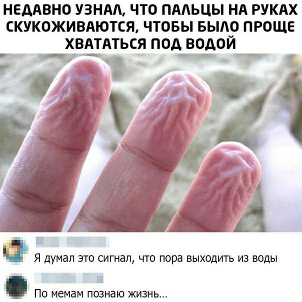 недАвно узндд что пмьцы нд РУКАХ скукоживттся чтовы вылр проще х_вдтАться подцводоиА 1 Я думал это сигнал что пора выходить из воды По мемам познаю жизнь