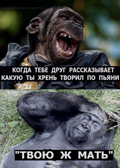 КОГДА ТЕБЕ дРУГ РАССКАЗЫВАЕТ КАКУЮ ТЫ ХРЕНЬ ТВОРИЛ ПО ПЬЯНИ _ __