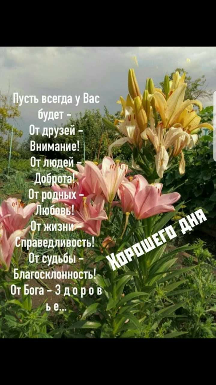 ч 11 лишить _ і т БлагосМностьё ОтБогаіЗдброщ ье