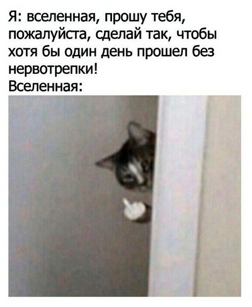 Я вселенная прошу тебя пожалуйсга сделай так чтобы хотя бы один день прошел без нервотрепки Вселенная