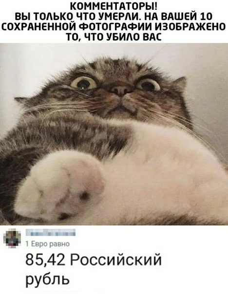 КОММЕНТАТОРЫ _ ВЫ ТОАЬКЧ ЧТО УМЕРАИ НА ВАШЕИ 10 СОХРАНЕННПИ ФОТОГРАФИИ ИЗОБРАЖЕНО ТО ЧТО УБИАО ВАС _ чт 8542 Российский рубль