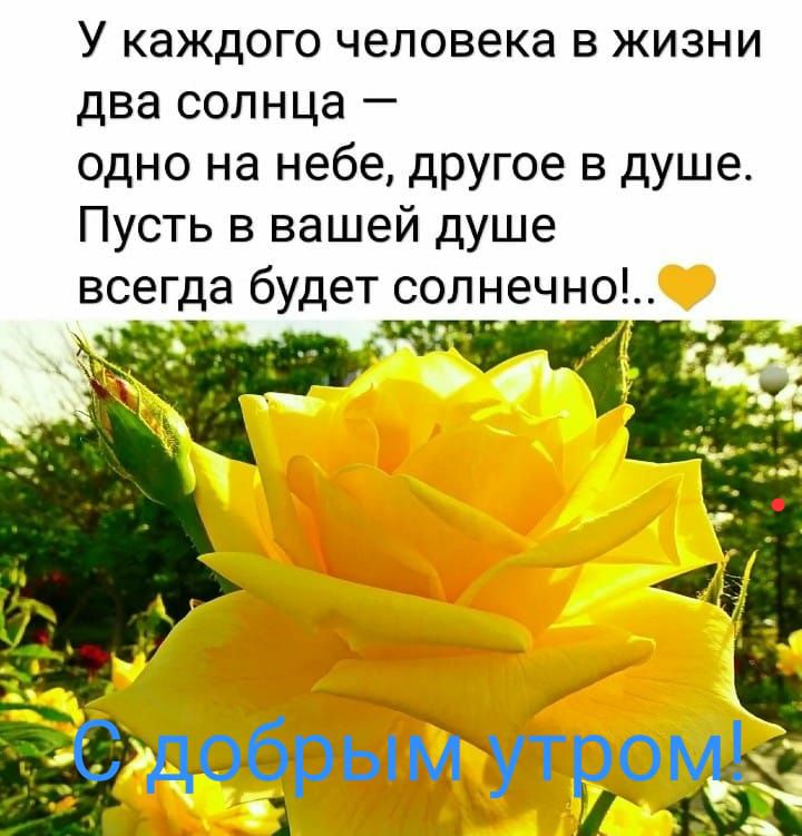 У каждого человека в жизни два солнца одно на небе другое в душе Пусть в вашей душе всегда будет солнечно щ Ёдобзрым твоё