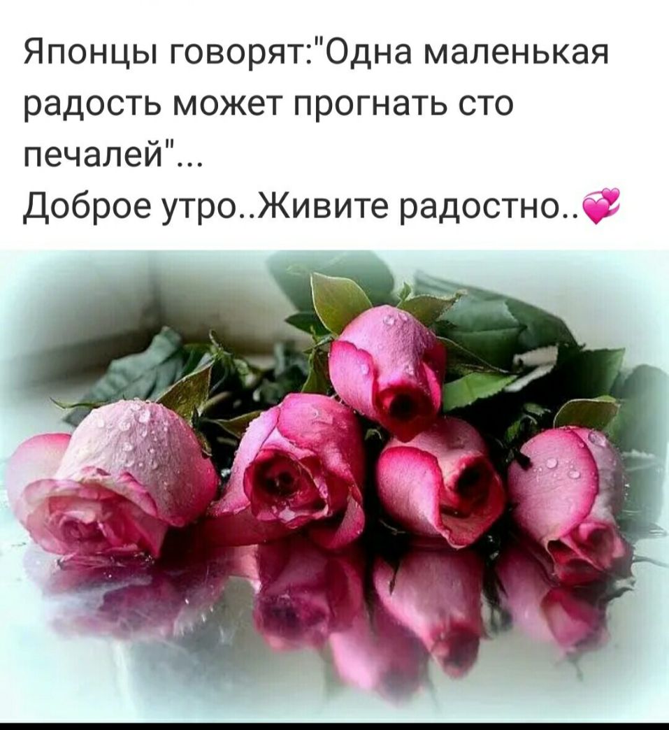 Японцы говорятОдна маленькая радость может прогнать сто печалей Доброе утроЖивите радостно
