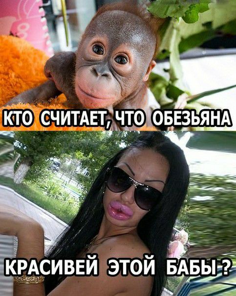 ЕЬСИВЕИ ЭТО 5 дк Е