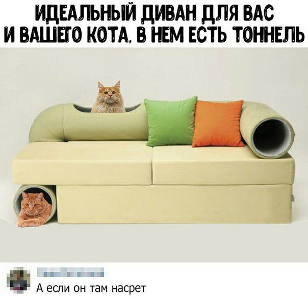 ИДЕАЛЬНЫЙ дИВАН ДЛЯ ВАС И ВАШЕГО КОТА В НЕМ ЕСТЬ ТОННЕЛЬ _ Н ь і Е А если он там насрет