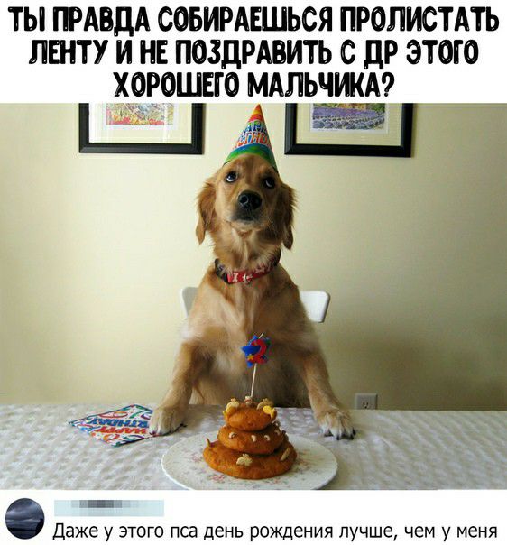 ТЫ ПРАВДА СОБИРАПЦЬСЯ ПРОЛИСТАТЬ ПЕНТУ И НЕ ПОЗДРАВИТЬ С ДР ЭТОГО ХОРОШЕГО МАПЬЧ__ИА9 Даже у этого пса день рождения лучше чем у меня