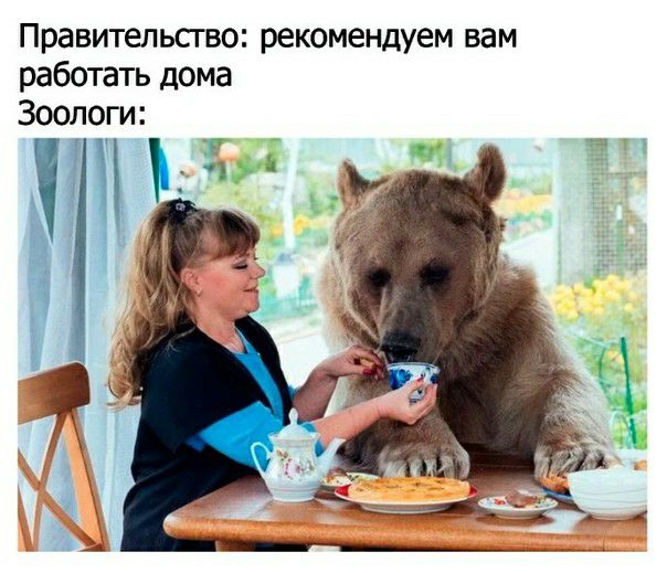 Правительство рекомендуем вам работать дома Зоологи