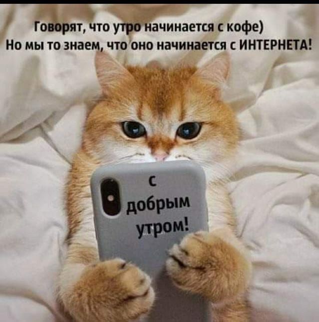 Гоърят что ачииается кофе Но мы то знаем чтооио начинается ИНТЕРНЕТА