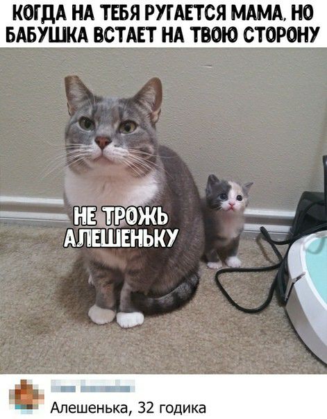 КОГДА НА ТБЯ РУГАЕТСЯ МАМА НО БАБУЦЖА ВСТАЕТ НА ТВОЮ СТОРОНУ зыщмь АЛЕШЕНЬКУ 11773 Апешенька 32 годика