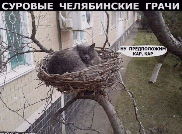 СУРОВЫЕ ЧЕЛЯБИНСКИЕ ГРАЧИ 3 _