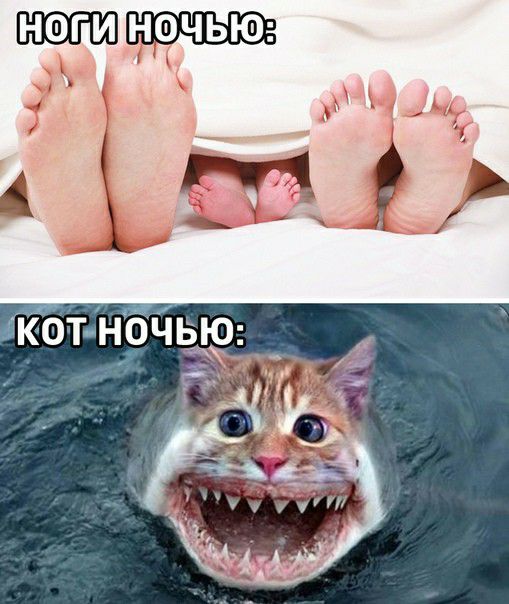 НОГИ НОЧЬЮ