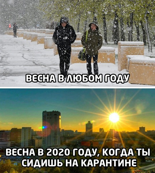 ВЕСНА В 2020 ГОДУ КОГДА ТЫ СИДИШЬ НА КАРАНТИНЕ