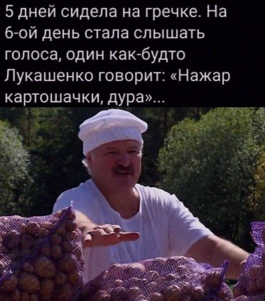5 дней сидела на гречке На 6 ой день стала слышать голоса один какбудто Лукашенко говорит Нажар картошачки дура
