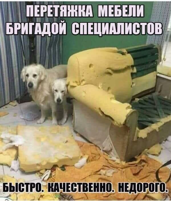 ЁРЕТШШ МЕБЕЛИ БШЧДШ СПЕЦИАЛИСТ