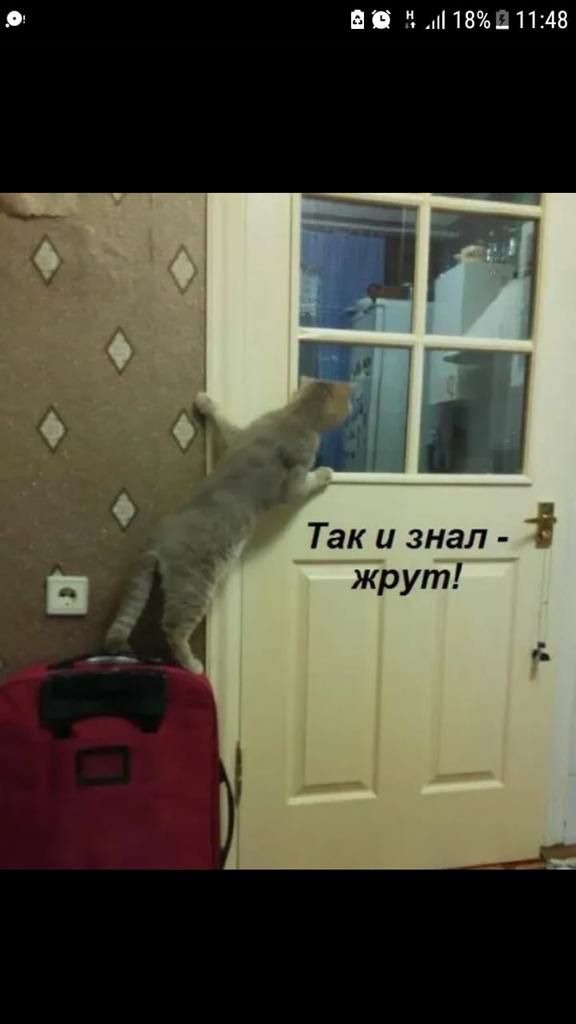 В В ндпвчьппив