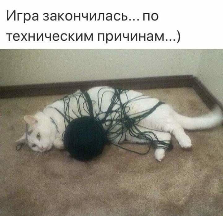 Игра закончилась по техническим причинам