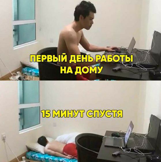 первый деньрдёё НА дойу