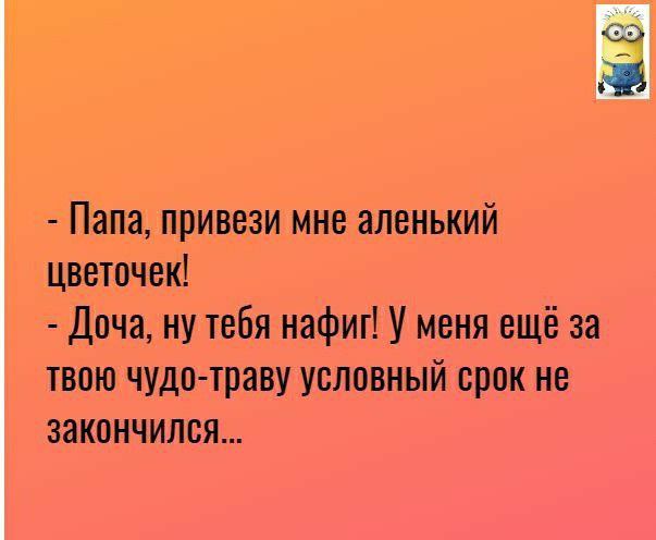 Папа привези мнс аленький цветочек Доча ну тебя нафиг У меня ещё за твою чудо траву условный срок не закончился