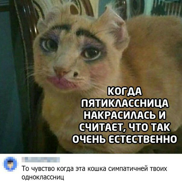 Ё Ёогдд ПЯТИКААССНИЦА НАКРАСИААСЬ И СЧИТАЕТ ЧТО ТАК ОЧЕНЬ ЕСТЕСТВЕННО ТО ЧУВСГВО КОГДЗ ЭТВ КОШКБ СИМПБТИЧНеЙ ТВОИХ одноклассниц