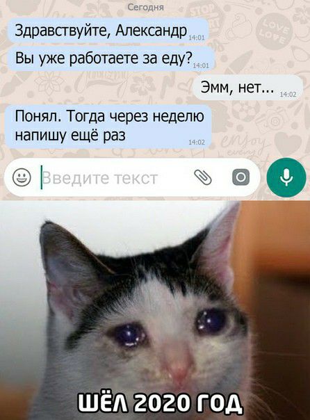 Рпи Здравсгвуйте Александр _ Вы уже работаете за еду Эмм нет Понял Тогда черз неделю напишу ещё раз 199 шёдгого