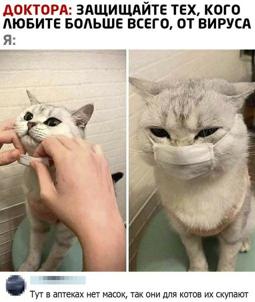 ДОКТОРА ЗАЩИЩАЙТЕ ТЕХ КОГО АЮБИТЕ БОЛЬШЕ ВСЕГО ОТ ВИРУСА Я Тут в аптеках нет масок так они для котов их скупают