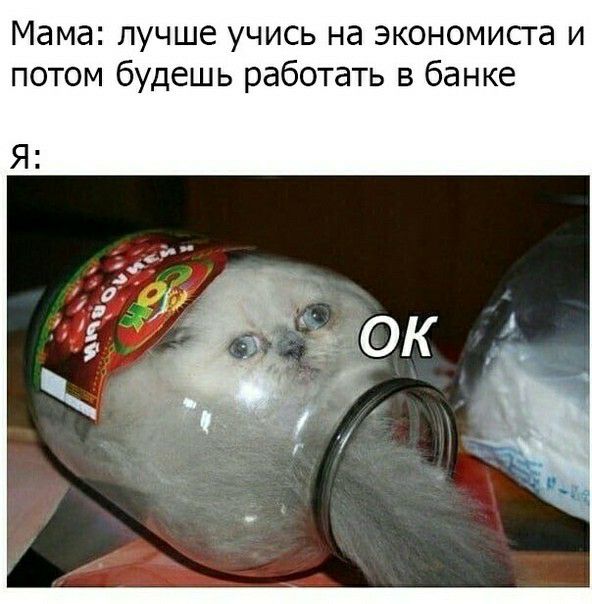 Мама лучше учись на экономиста и потом будешь работать в банке
