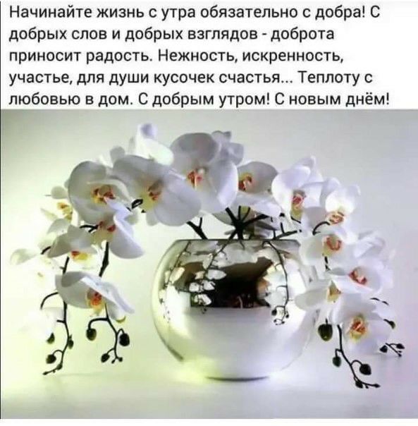 Начинайте жизнь с утра обязательно добра С добрых слов и добрых взглядов доброта приносит радость Нежность искренность участье для души кусочек счастья Теплоту любовью в дом С добрым утром С новым днём