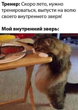 Тренер Скоро лето нужно тренироваться выпусти на волю своего внутреннего зверя Мой внутренний зверь