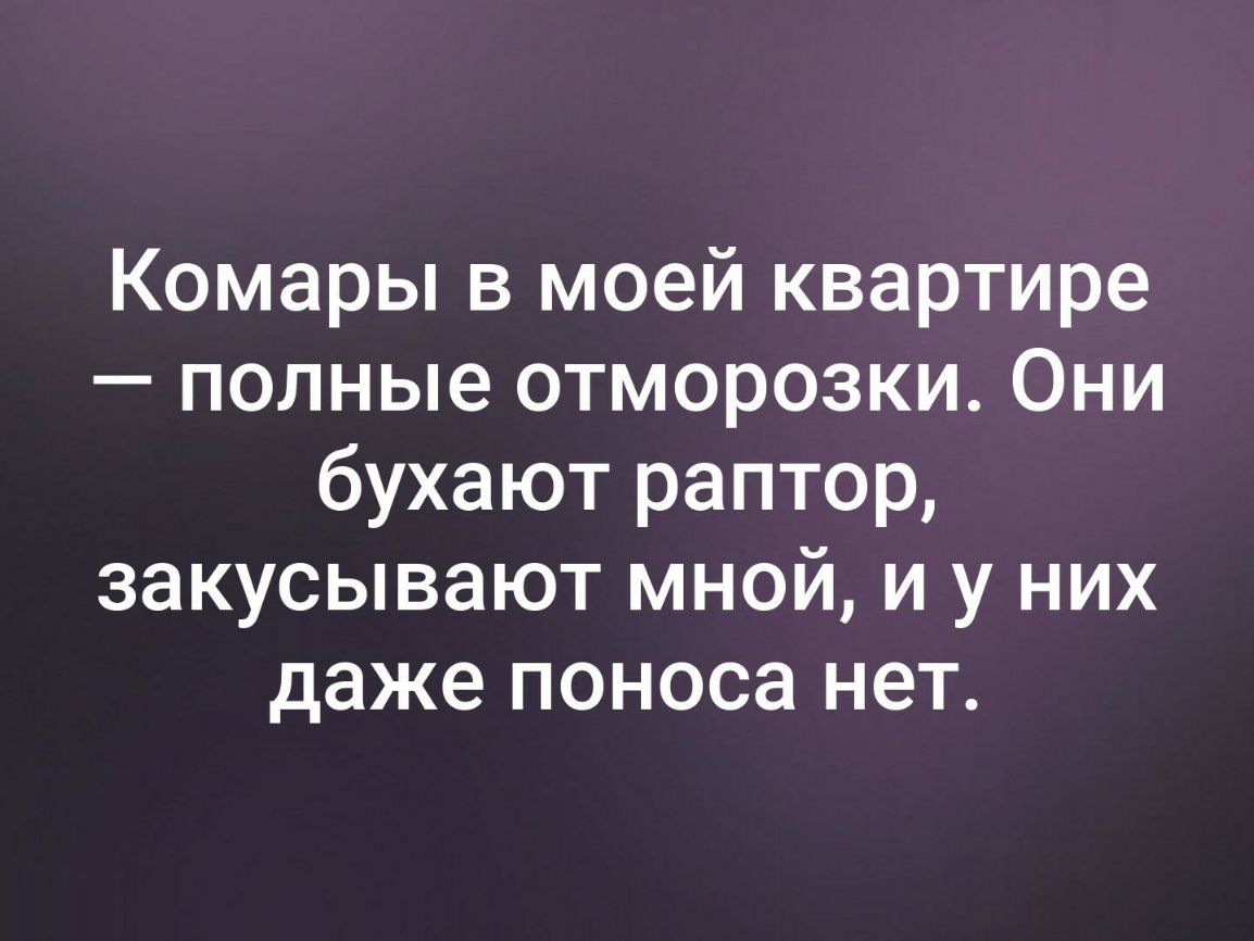 Комары в моей квартире полные отморозки Они бухают раптор закусывают мной и у них даже поноса нет