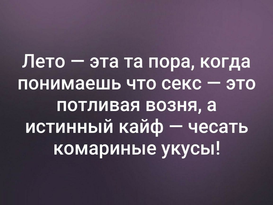 Лето эта та пора когда понимаешь что секс это потливая возня а истинный кайф чесать комариные укусы