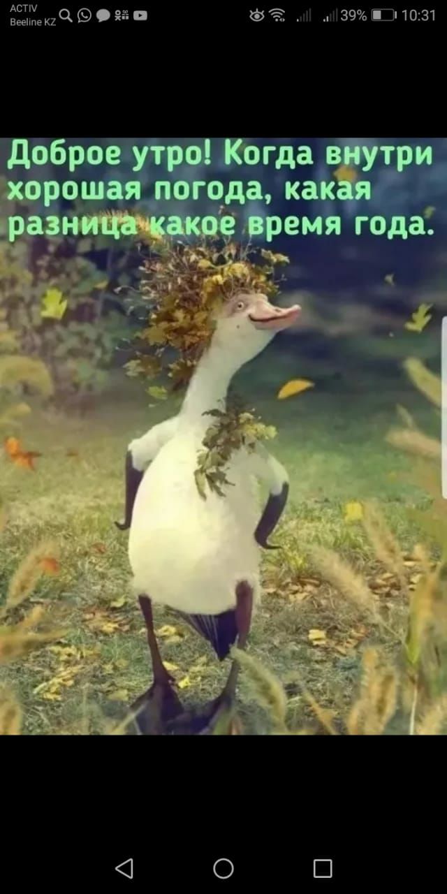 м39а Ш10131