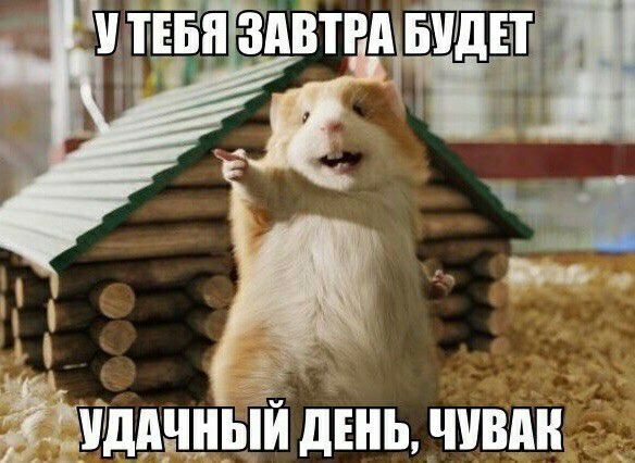 Ётдцчньійн дЕнь чивди