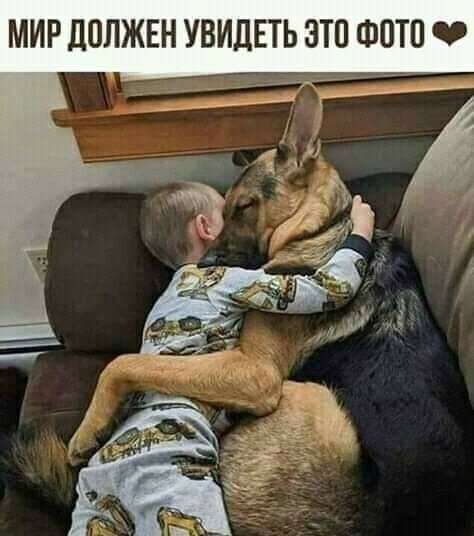 МИР ЦОЛЖЕН УВИДЕТЬ ЭТП ФОТП 0