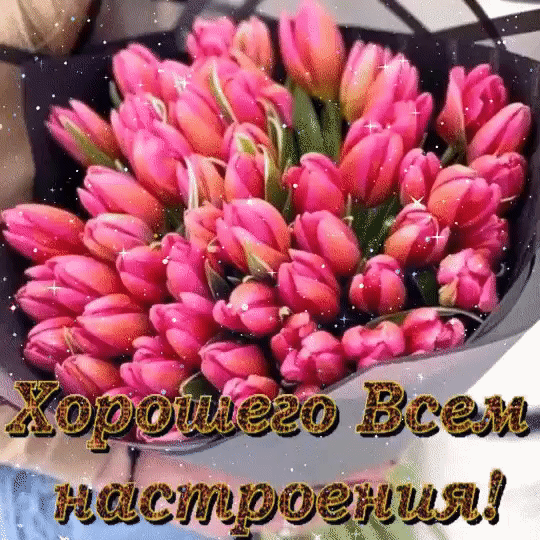 тішжёртщшщ