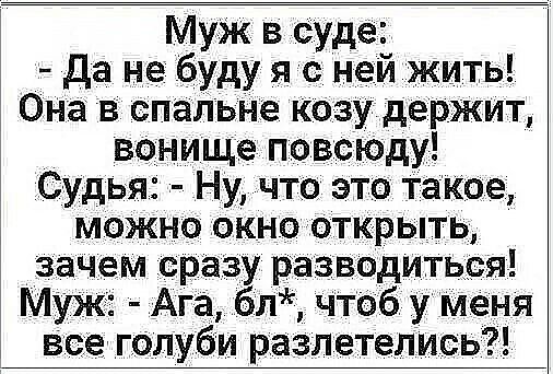 Муж в суде да не буду я с ней жить Она в спальне козу держит вонище повсюду Судья Ну что это такое можно окно открыть зачем сразу разводиться Муж Ага бл чтоб у меня все голуби разлетелись
