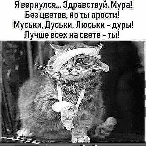 Я вернулся Здравствуи Мура Без ццетпв но ты прости Муськи ЦУськи Люськи дУ1Ь Лучше всех на свеТе ты