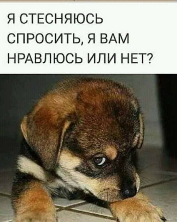 Я СТЕСНЯЮСЬ СПРОСИТЬ Я ВАМ НРАВЛЮСЬ ИЛИ НЕТ