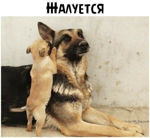 ААУЕТСЯ