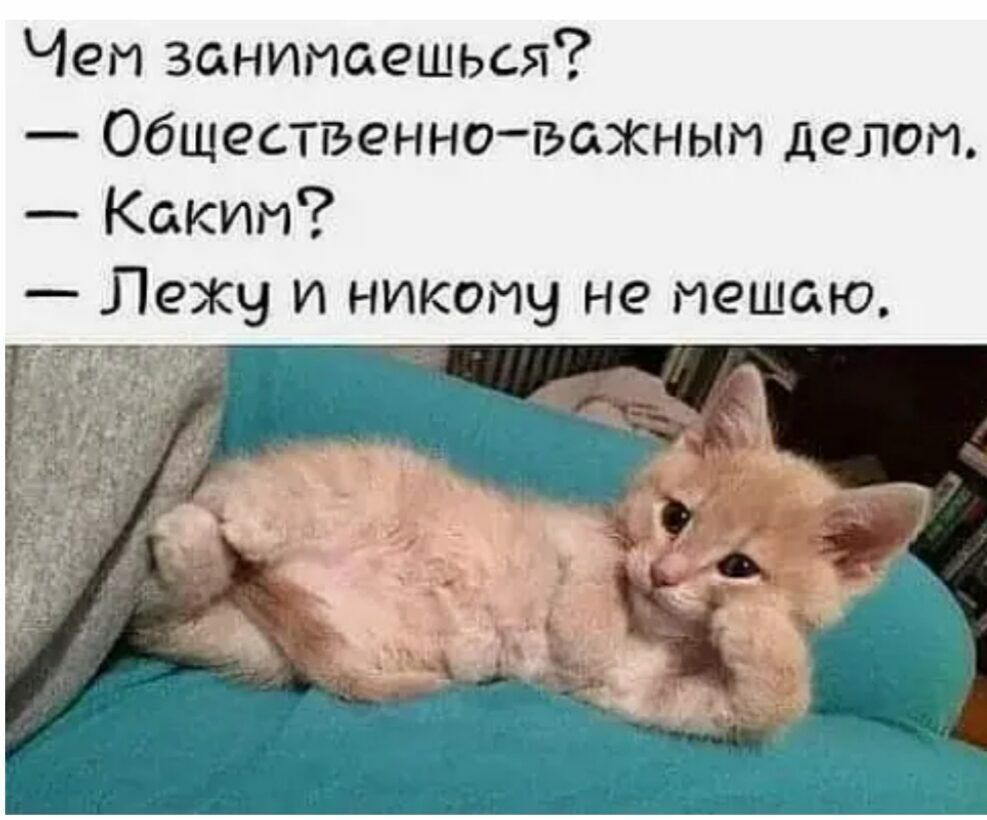 Чет занимаешься Общественноьажнып делом Каким Лежу и никому не мешаю