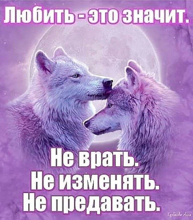 ттъжмып
