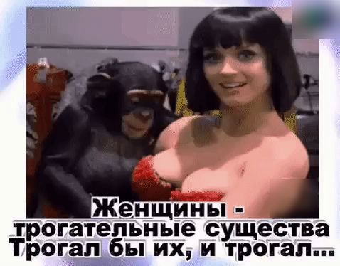 Женщины трогательные сУЩества Трогап бы их и трогал