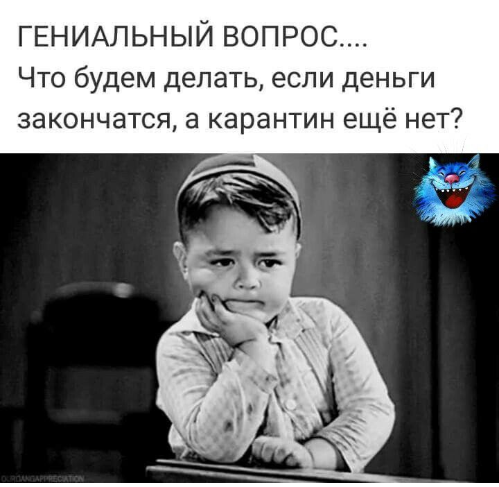 ГЕНИАЛЬНЫЙ ВОПРОС Что будем делать если деньги закончатся а карантин ещё нет