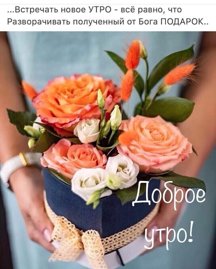 Встречать новое УТРО всё равно что Разворачивать полученный от Бога ПОДАРОК