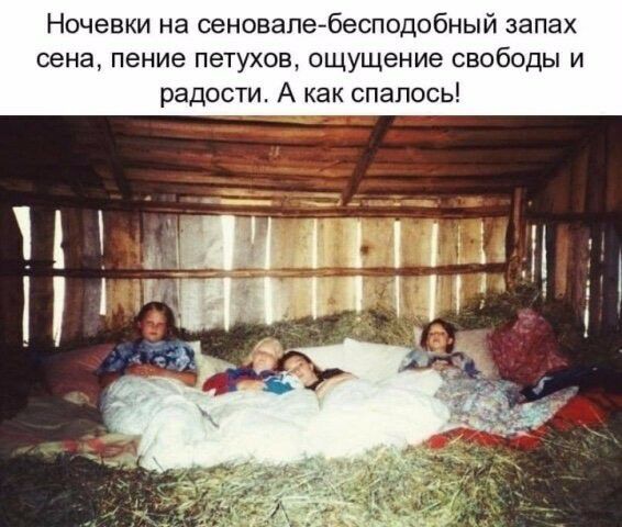 Ночевки на сеновале бесподобный запах сена пение петухов ощущение свободы и радости А как спапось