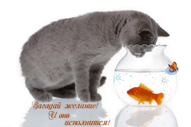 ёжыштжжіщшиш 535 шт штамма