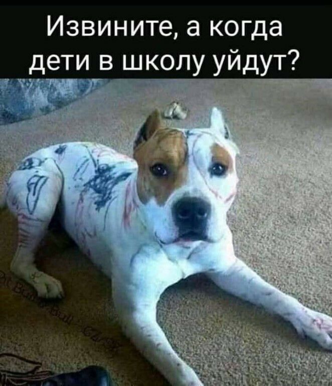 Извините а когда дети в школу уйдут