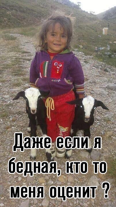 Пеня ценит